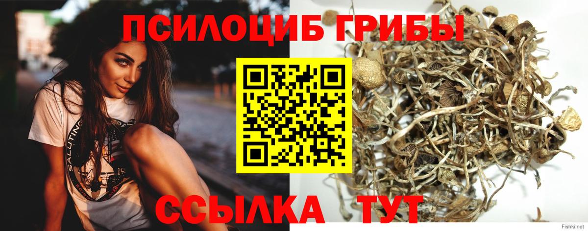 Невинномысск  Галлюциногенные грибы ЛСД  Вход с VPN 